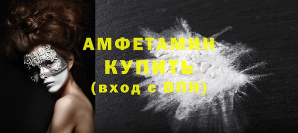 молекула духа Вяземский