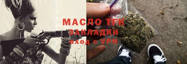 молекула духа Вяземский