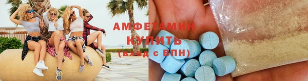 молекула духа Вяземский