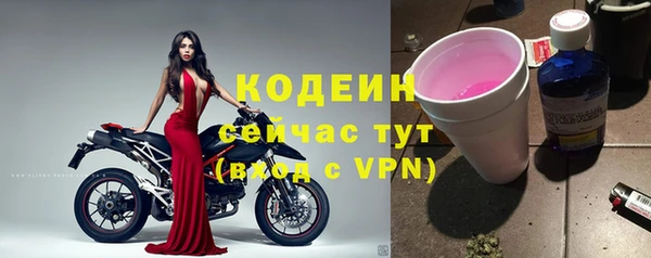 молекула духа Вяземский