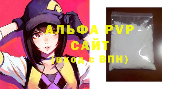 молекула духа Вяземский