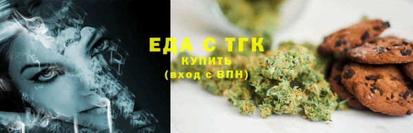 молекула духа Вяземский