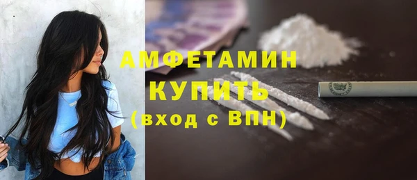 молекула духа Вяземский