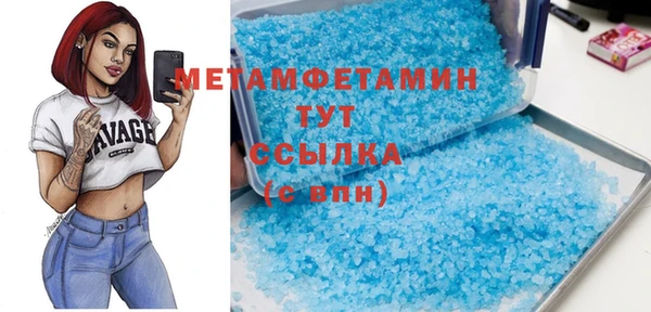 молекула духа Вяземский