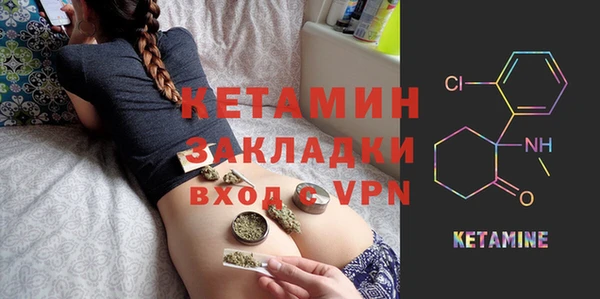 молекула духа Вяземский