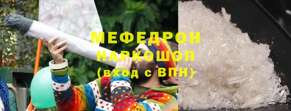 молекула духа Вяземский