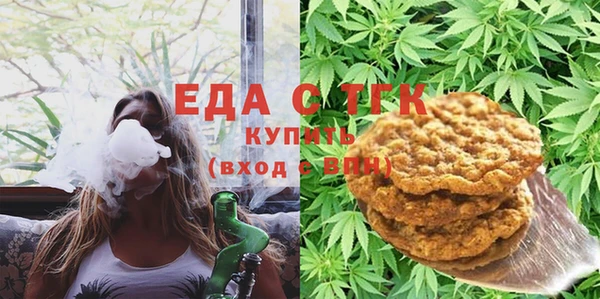 молекула духа Вяземский