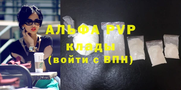 молекула духа Вяземский