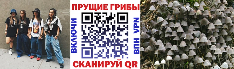 hydra как войти  Меленки  Псилоцибиновые грибы ЛСД 